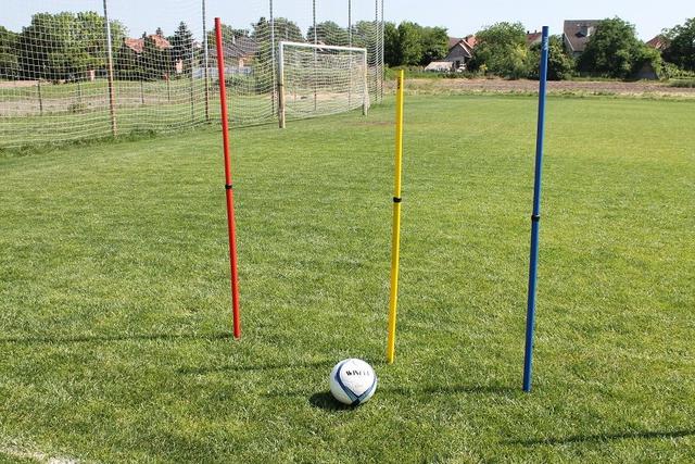 Slalomová tyč Winart teleskopická - PSP078