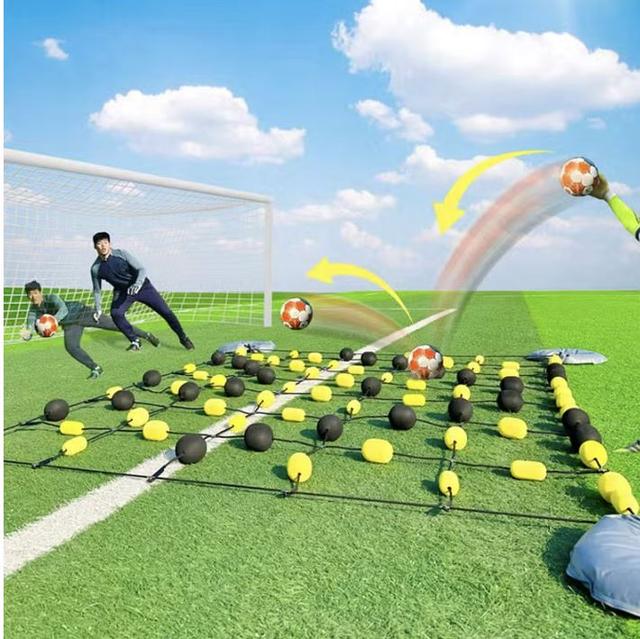 Sieť na tréning reakcie brankárov 275 cm x 185 cm Tajbisport - TS4628