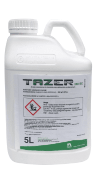 TAZER 250 SC -5 LITROV - TT-00462