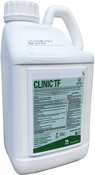 CLINIC TF 5 l  - Clinic 