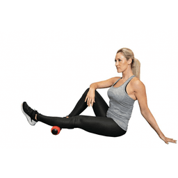 Power Plate DualSphere - PowerPlateDualSphere