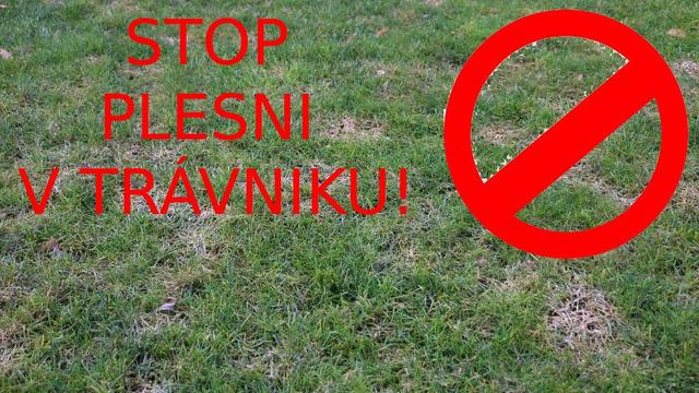 Prípravok proti PLESNI a HUBOVÝM CHOROBÁM v trávniku - NEW9q9q9q