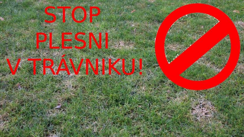 Prípravok proti PLESNI a HUBOVÝM CHOROBÁM v trávniku - NEW9q9q9q