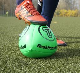Reflex Ball - 140