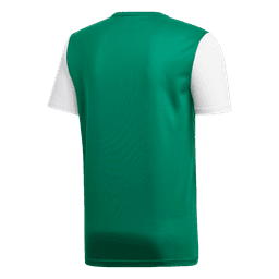 ESTRO 19 JERSEY - DP3216-116