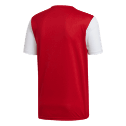 ESTRO 19 JERSEY - DP3215-116