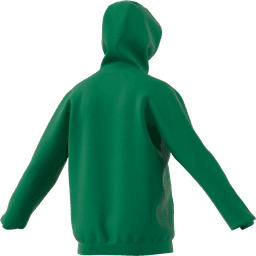 ENTRADA 22 HOODY - HI2143-116