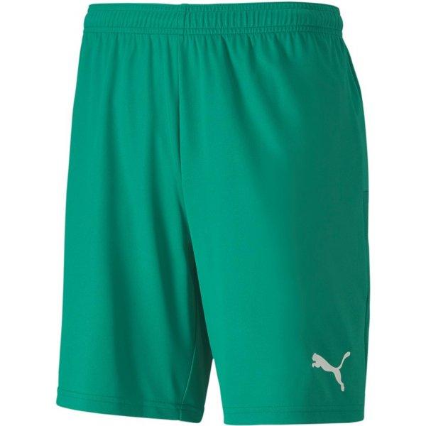 Šortky Puma teamGOAL 23 knit Shorts jr - 4062451178147