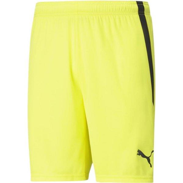 Šortky Puma teamLIGA Shorts - 4063699152821