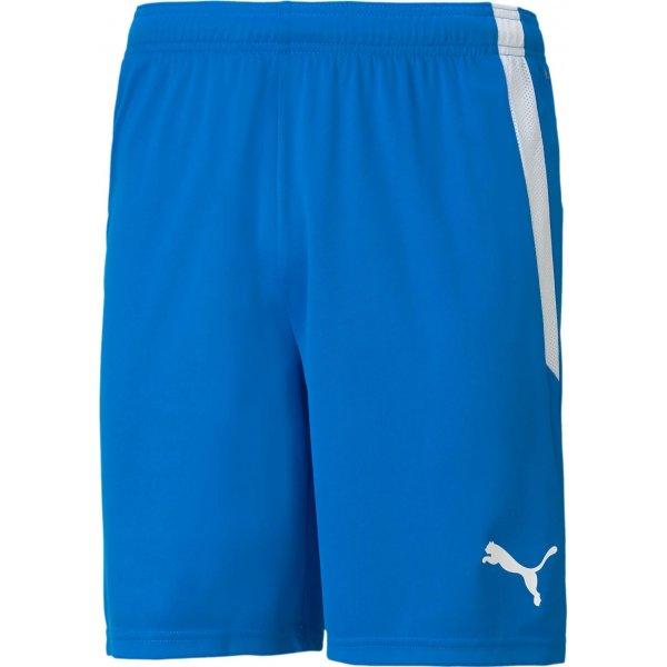 Šortky Puma teamLIGA Shorts - 4063699153590