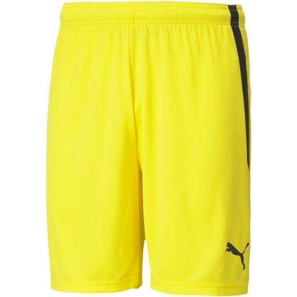 Šortky Puma teamLIGA Shorts - 4063699154009
