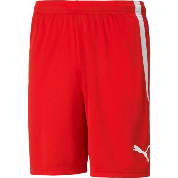 Šortky Puma teamLIGA Shorts - 4063699155228