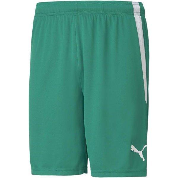 Šortky Puma teamLIGA Shorts - 4063699149616