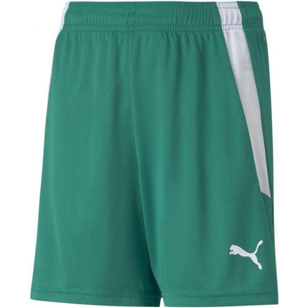 Šortky Puma teamLIGA Shorts Jr - 4063699148046