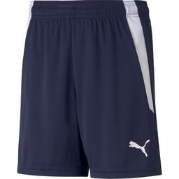 Šortky Puma teamLIGA Shorts Jr - 4063699145212