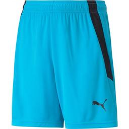 Šortky Puma teamLIGA Shorts Jr - 4063699145588