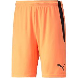 Šortky Puma teamLIGA Shorts - 4064535455205