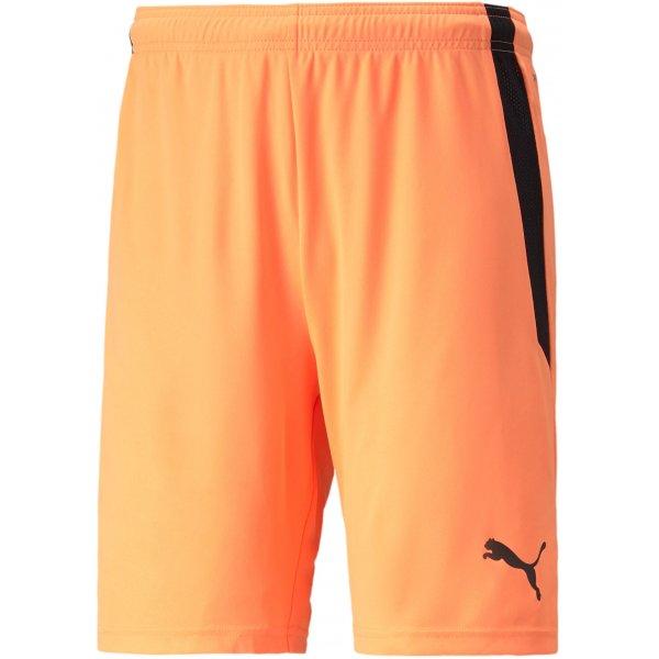 Šortky Puma teamLIGA Shorts - 4064535455205