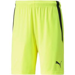 Šortky Puma teamLIGA Shorts - 4064535457285