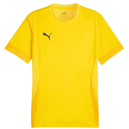 Dres Puma teamGOAL Matchday Jersey - 4099685718702