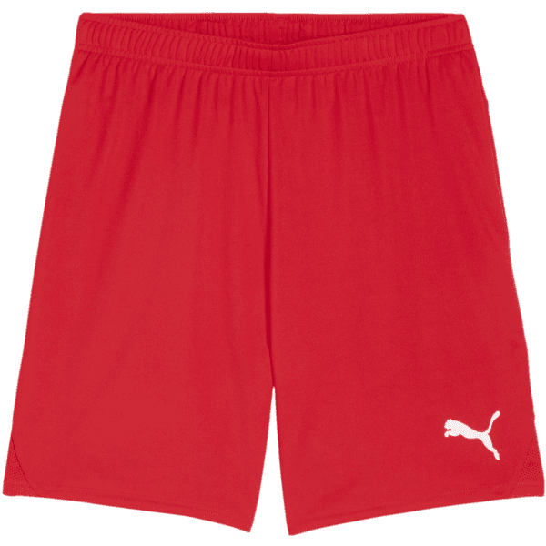 Šortky Puma teamGOAL Shorts - 4099685723836