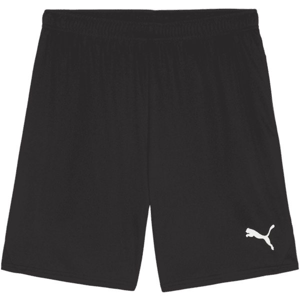 Šortky Puma teamGOAL Shorts - 4099685720019