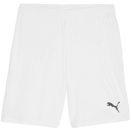 Šortky Puma teamGOAL Shorts - 4099685728022