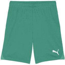 Šortky Puma teamGOAL Shorts - 4099685724260