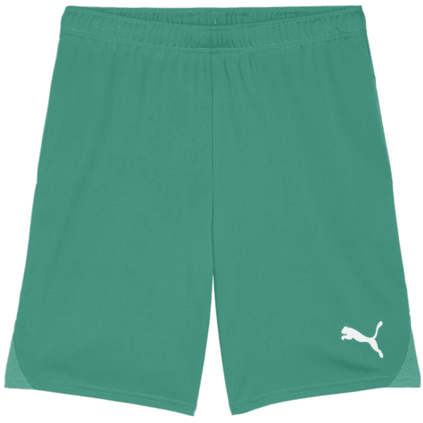 Šortky Puma teamGOAL Shorts - 4099685724260