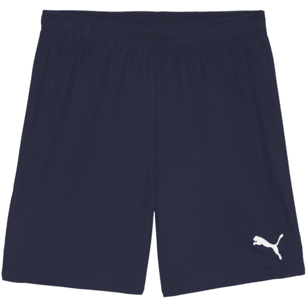 Šortky Puma teamGOAL Shorts - 4099685717712