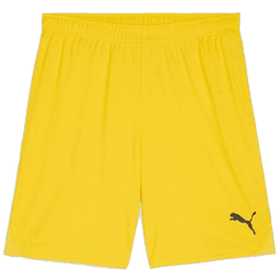 Šortky Puma teamGOAL Short - 4099685718627