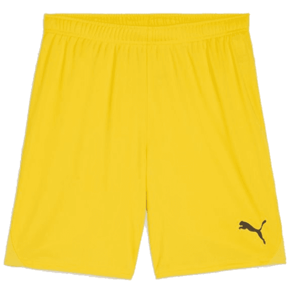 Šortky Puma teamGOAL Short - 4099685718627