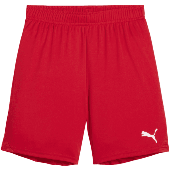 Šortky Puma teamGOAL Shorts Jr - 4099685723546