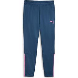 Nohavice Puma teamLIGA Training Pants - 4099686776596