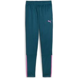 Nohavice Puma teamLIGA Training Pants Jr - 4099685534326