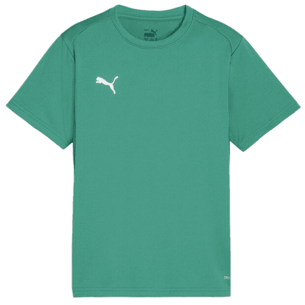 Tričko Puma  teamGOAL T-Shirt - 4099686770297