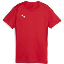 Dres Puma  teamGOAL Jersey W - 4099685635641