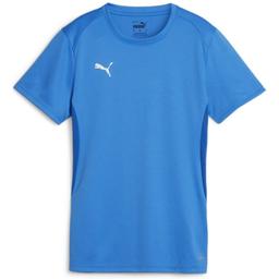 Dres Puma  teamGOAL Jersey W - 4099686727499