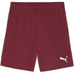 Šortky Puma teamGOAL Shorts - 4099685724918