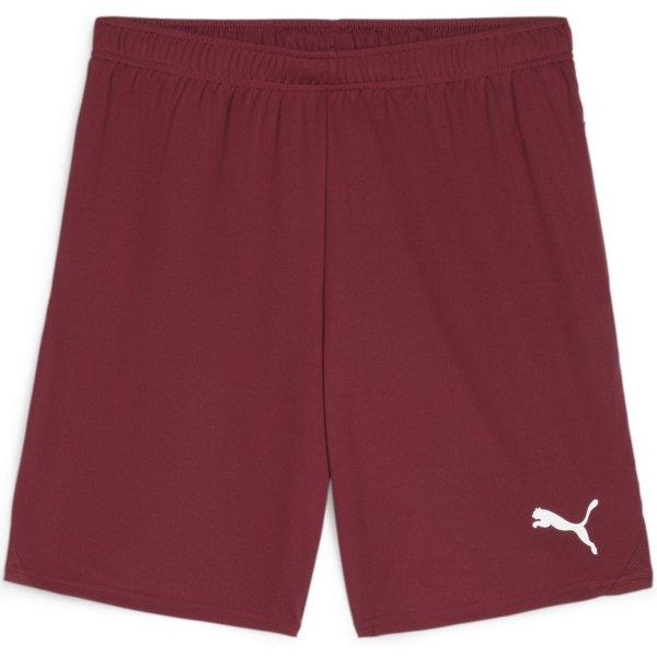 Šortky Puma teamGOAL Shorts - 4099685724918