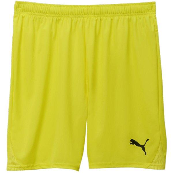 Šortky Puma teamGOAL Shorts - 4099685719242