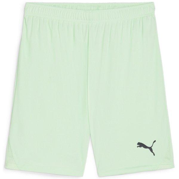 Šortky Puma teamGOAL Shorts - 4099685717552