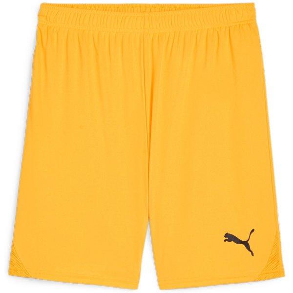 Šortky Puma teamGOAL Shorts - 4099685720378