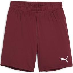 Šortky Puma teamGOAL Shorts Jr - 4099685720965