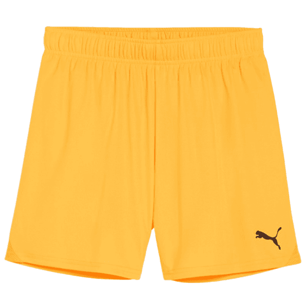 Šortky Puma teamGOAL Shorts Wmns - 4099685719693