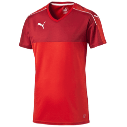 Dres Puma Accuracy Shortsleeved Shirt  - 4056204389027