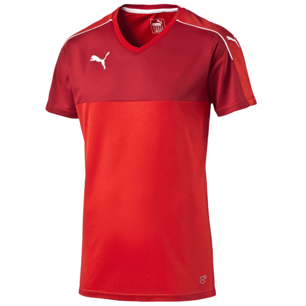 Dres Puma Accuracy Shortsleeved Shirt  - 4056204389027