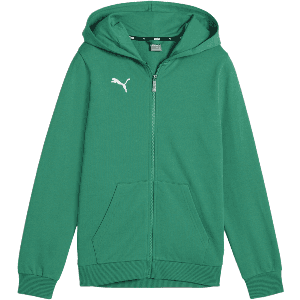 Mikina s kapucňou Puma  teamGOAL Casuals Hoodie Kids - 4099685651016