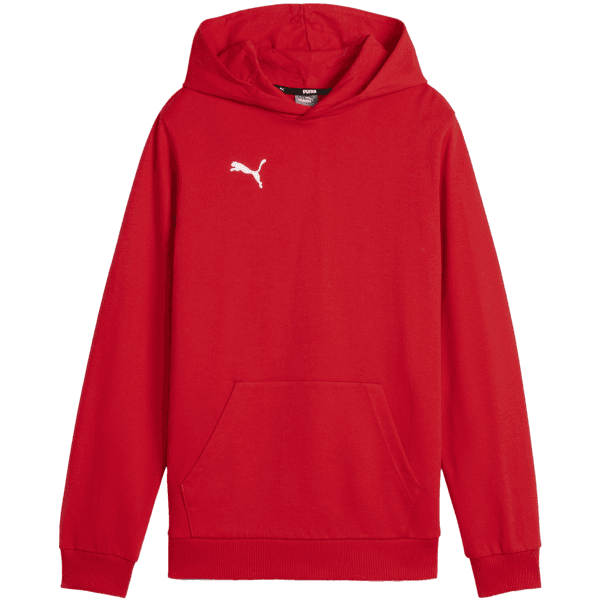 Mikina s kapucňou Puma  teamGOAL Casuals Hoody Kids - 4099685639540