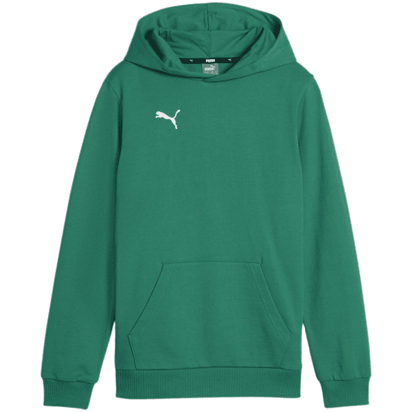 Mikina s kapucňou Puma  teamGOAL Casuals Hoody Kids - 4099685449064